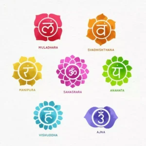Online Chakra programma
